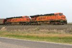 BNSF power for coal train